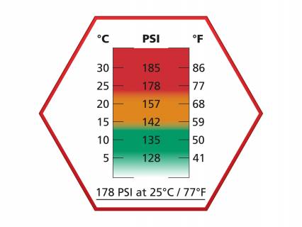 ASG ULTRAIR Power Propellent Gas / 178 PSI /Red