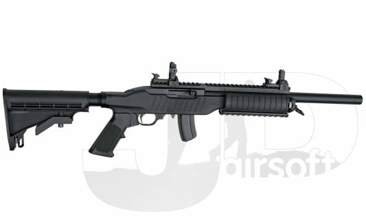 ASG 10/22 Special Teams Carbine