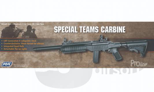 ASG 10/22 Special Teams Carbine